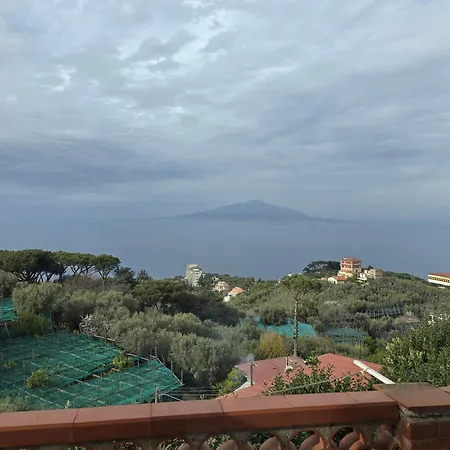 Il Nido